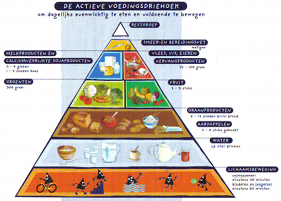 actieve voedingsdriehoek